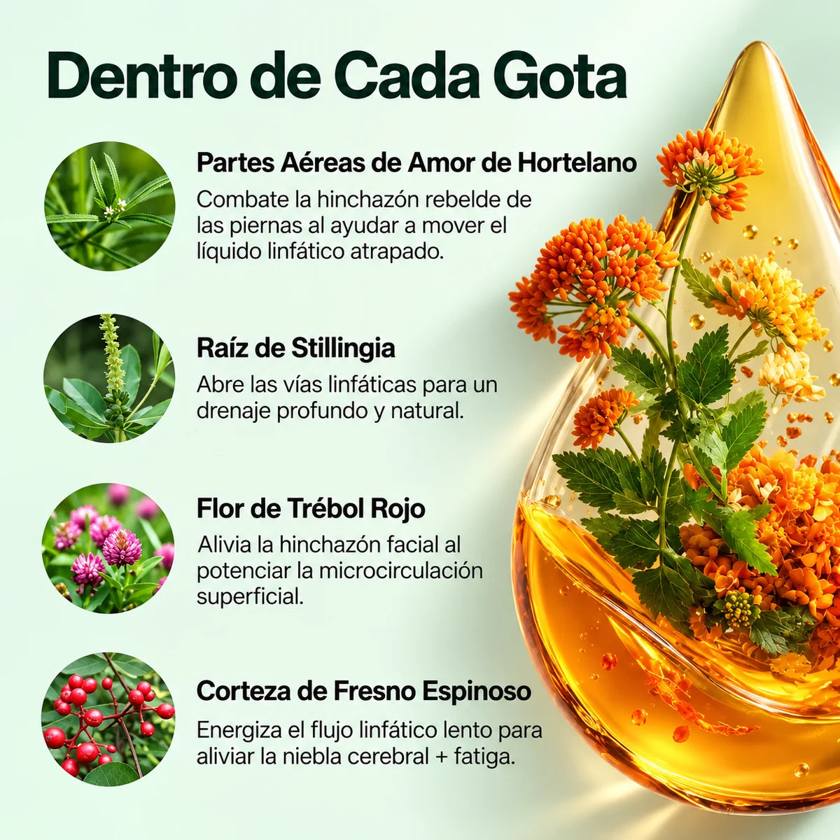 gotas de bienestar